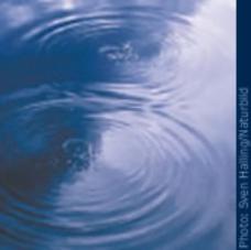  Two overlapping circular water waves