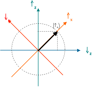 Representation of the 'up' eigenvector of Sx