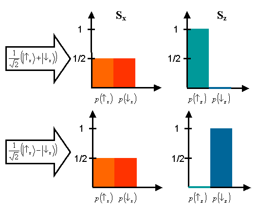 Comparison of the probability distributions predicted by two different superpositions of Sx' eigenstates.
