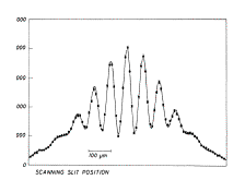 Interference patterns in experiments with neutrons (top) and Bose-Einstein condensates of atoms (bottom)